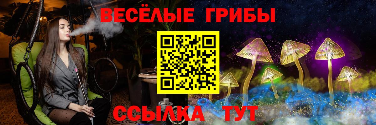 Псилоцибиновые грибы прущие грибы Заволжье